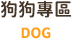 狗狗專區