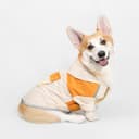 汪喵 X PEHOM 聯名｜狗狗雨衣