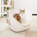 專利小白鯨砂盆