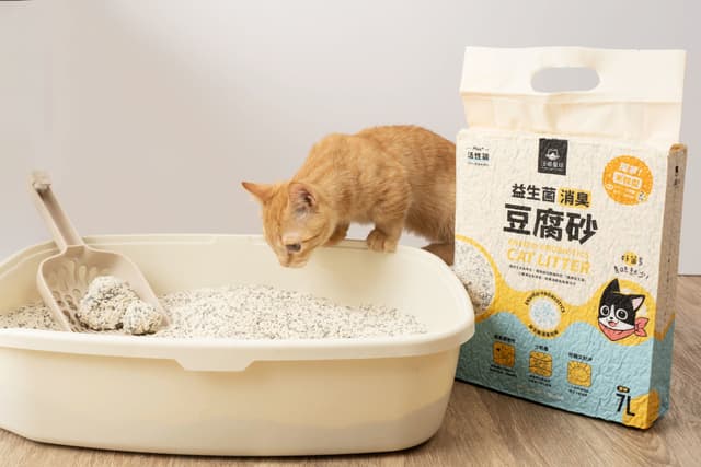 【汪喵研發日誌】礦型升級為米粒型的原因，達到人寵平衡的貓砂！