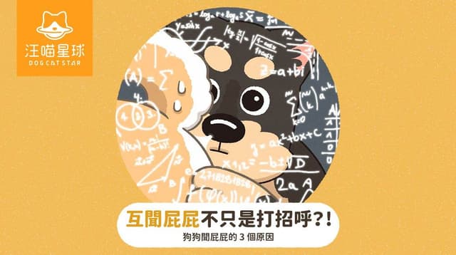 狗狗互聞屁股是在打招呼？3 個狗狗聞屁股的社交訊號