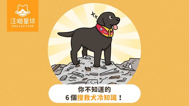 【汪喵冷知識】你不知道的 6 個搜救犬冷知識！