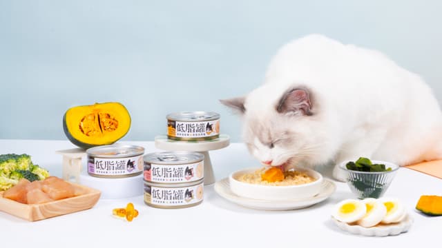 【汪喵研發日誌】史上最難產的肉絲主食罐—如何克服以滿足愛咬咬貓