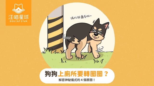 【汪喵冷知識】狗狗上廁所要轉圈圈？解密神秘儀式的 4 個原因！