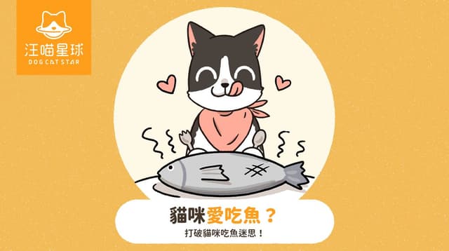 貓咪可以吃魚嗎？貓咪不能吃什麼魚？6 種 NG 魚類千萬別餵