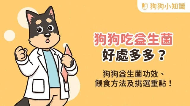狗狗益生菌怎麼吃？什麼時候吃？益生菌 5 大功效、使用指南一次看