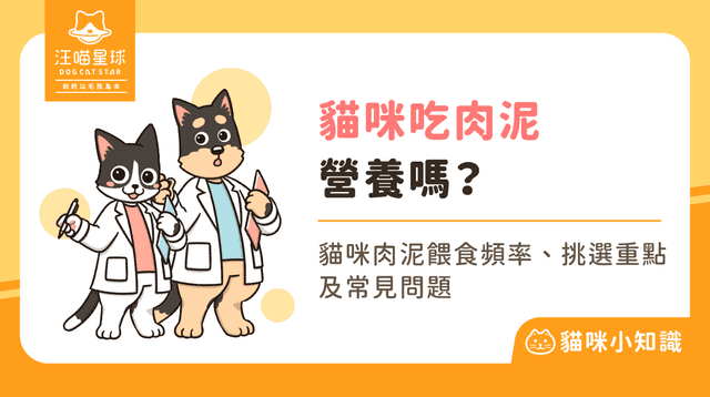 貓吃肉泥好嗎？貓肉泥怎麼挑？貓咪吃肉泥懶人包！
