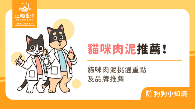 2025 最新貓肉泥推薦！8 款人氣貓肉泥評比，營養成分、適口性一次看