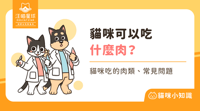 貓咪可以吃什麼肉？貓咪可以吃牛肉嗎？7 大肉類飲食指南！