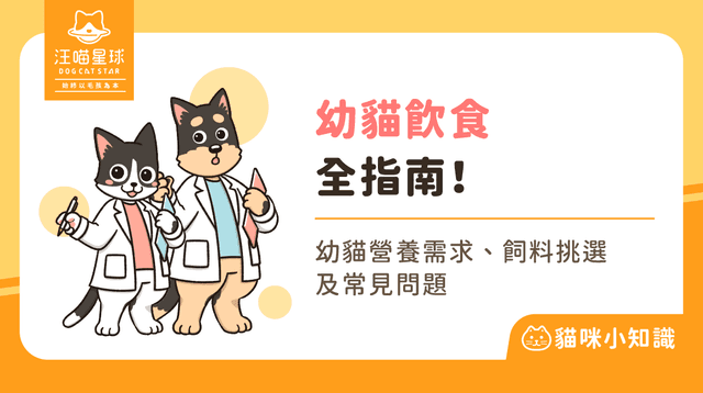 【2025 最新】幼貓一天吃多少？4 大幼貓飲食建議、幼貓飼料推薦