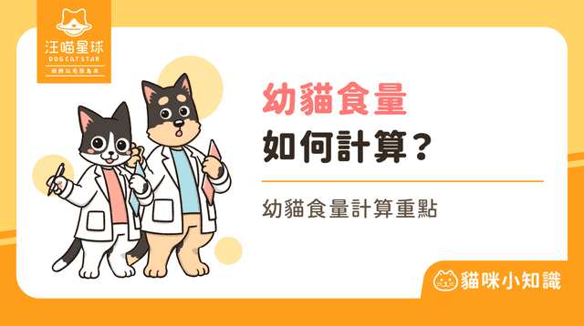 幼貓食量驚人該怎麼餵？5 大食量計算重點看完你就懂了！