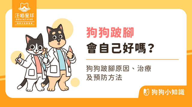 狗狗跛腳會自己好嗎？狗狗跛腳怎麼辦？7 大跛腳常見原因