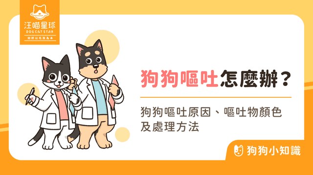 狗狗吐怎麼辦？從常見原因到送醫時機，一文看懂！