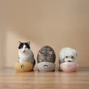 迪士尼貓狗系列 WIDEN寬寬防漏碗