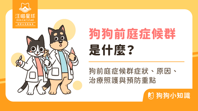 狗狗突然歪頭站不穩？認識狗狗前庭症候群的症狀、照護方式