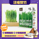 狗狗生菜