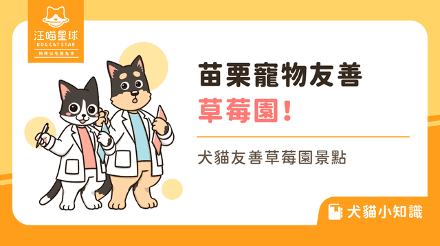 苗栗寵物友善草莓園！精選 5 間貓狗友善草莓園景點！