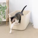 開放式大貓砂盆