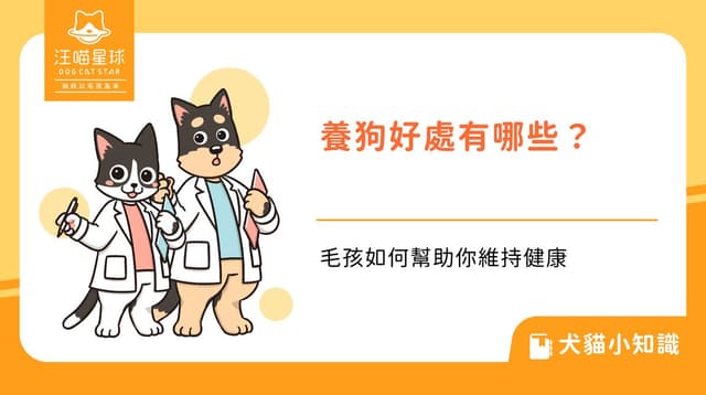 養狗好處有哪些?毛孩如何幫助你維持健康