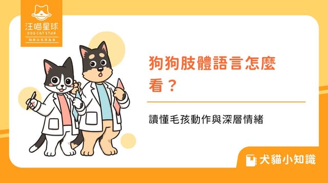 狗狗肢體語言怎麼看?讀懂毛孩動作與深層情緒