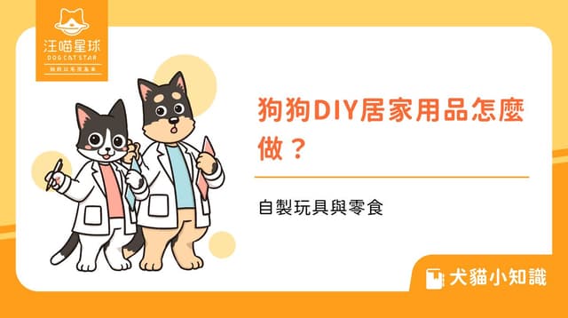 狗狗DIY居家用品怎麼做?自製玩具與零食
