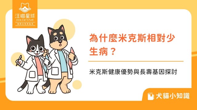 為什麼米克斯相對少生病?米克斯健康優勢與長壽基因探討