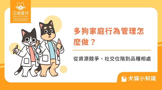 多狗家庭行為管理怎麼做?從資源競爭、社交位階到品種相處