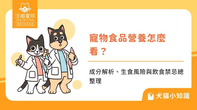 寵物食品營養怎麼看?成分解析、生食風險與飲食禁忌總整理