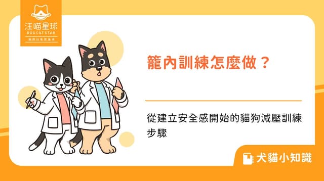 籠內訓練怎麼做?從建立安全感開始的貓狗減壓訓練步驟