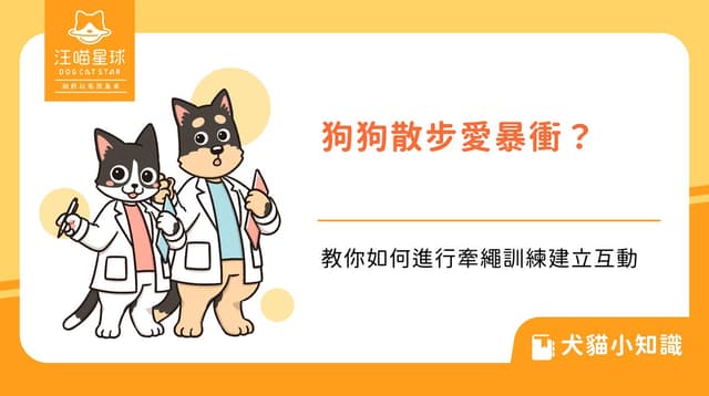 狗狗散步愛暴衝?教你如何進行牽繩訓練建立互動
