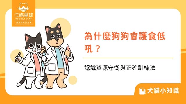 為什麼狗狗會護食低吼?認識資源守衛與正確訓練法