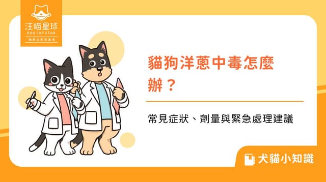 貓狗洋蔥中毒怎麼辦?常見症狀、劑量與緊急處理建議
