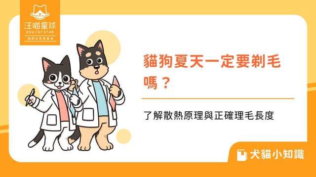 貓狗夏天一定要剃毛嗎?了解散熱原理與正確理毛長度