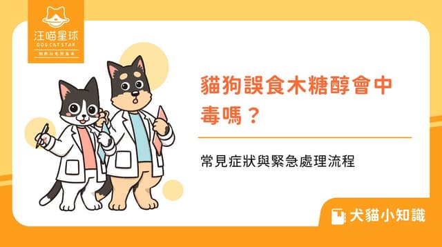貓狗誤食木糖醇會中毒嗎?常見症狀與緊急處理流程