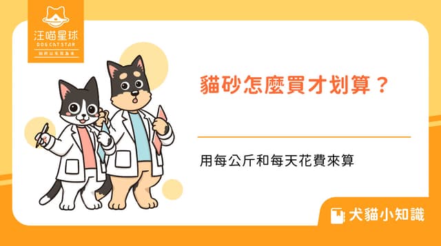 貓砂怎麼買才划算?用每公斤和每天花費來算
