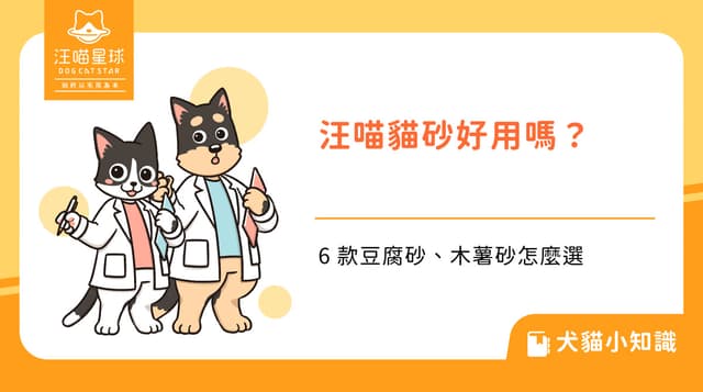 汪喵星球貓砂好用嗎?6 款豆腐砂、木薯砂和無痕砂怎麼選