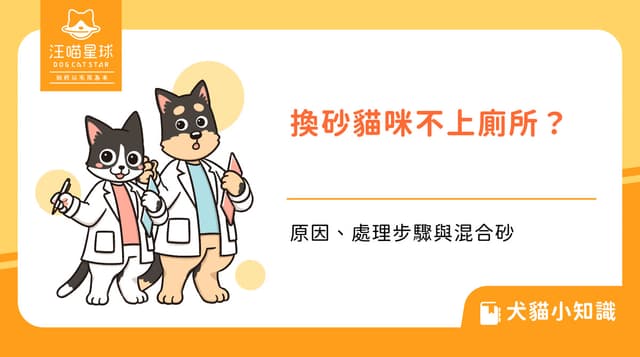換貓砂貓咪不上廁所怎麼辦?原因、處理步驟與混合砂怎麼用