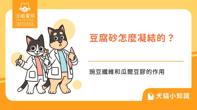 豆腐砂為什麼會凝結?豌豆纖維和瓜爾豆膠的作用
