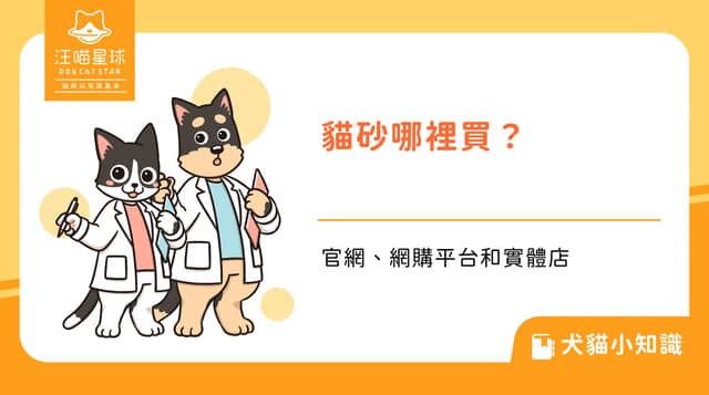 貓砂哪裡買?官網、網購平台和實體店差在哪