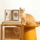 小宅生活|寵物拓印相框